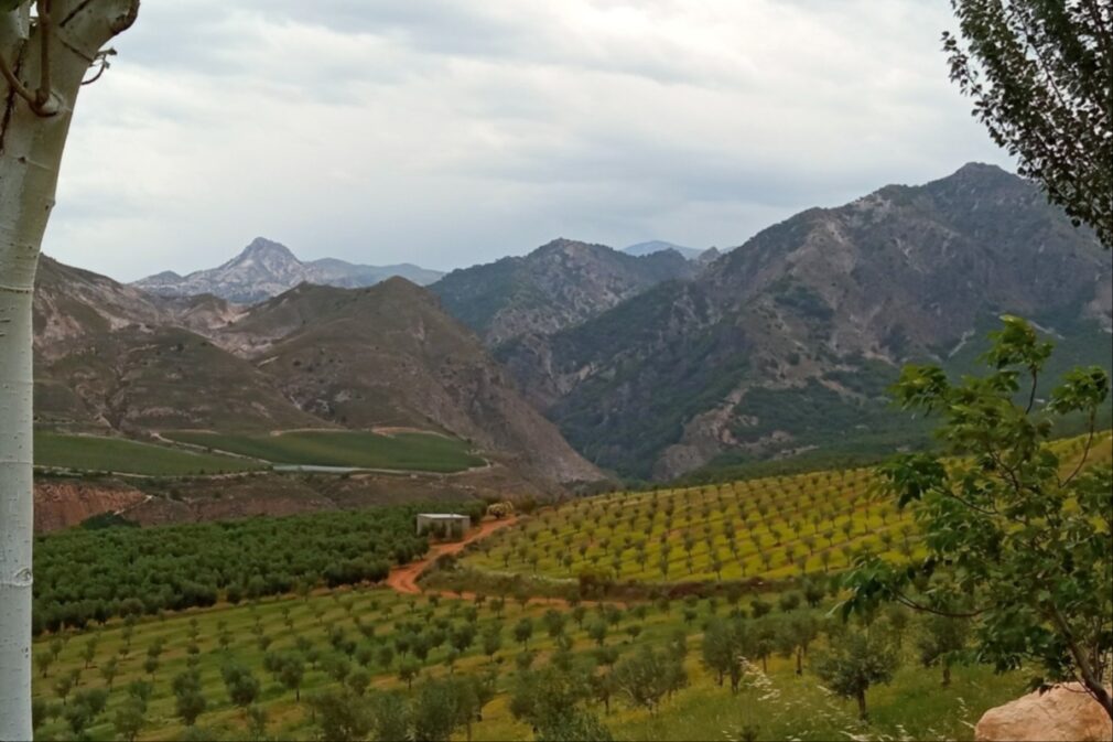 Campos de cultivo en la ribera del río Dílar, a su paso por el municipio homónimo Foto Remitida