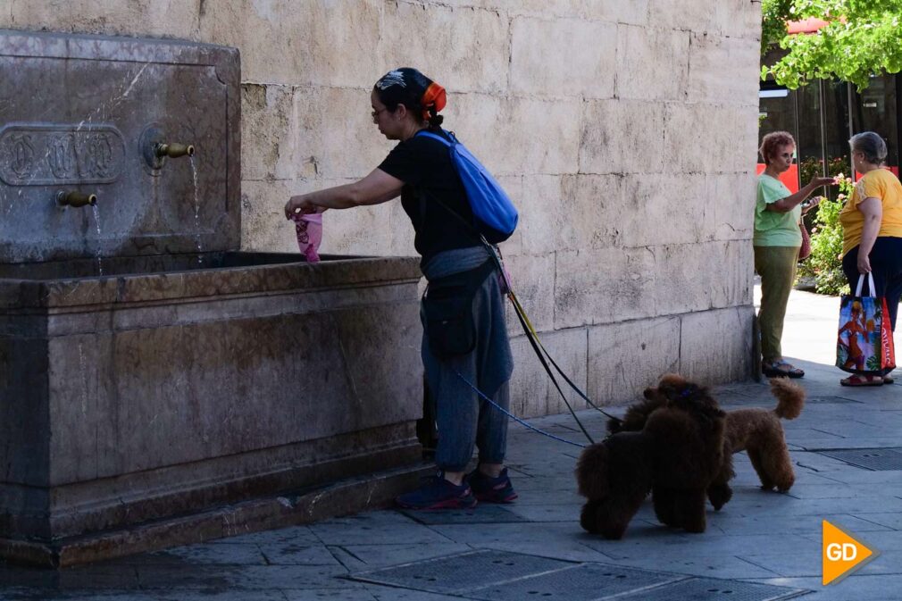 FOTOS CALOR GRANADA (9)