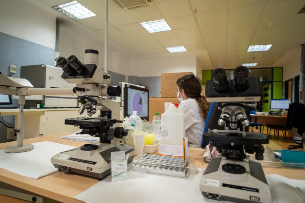 Profesional de Laboratorio en una determinación