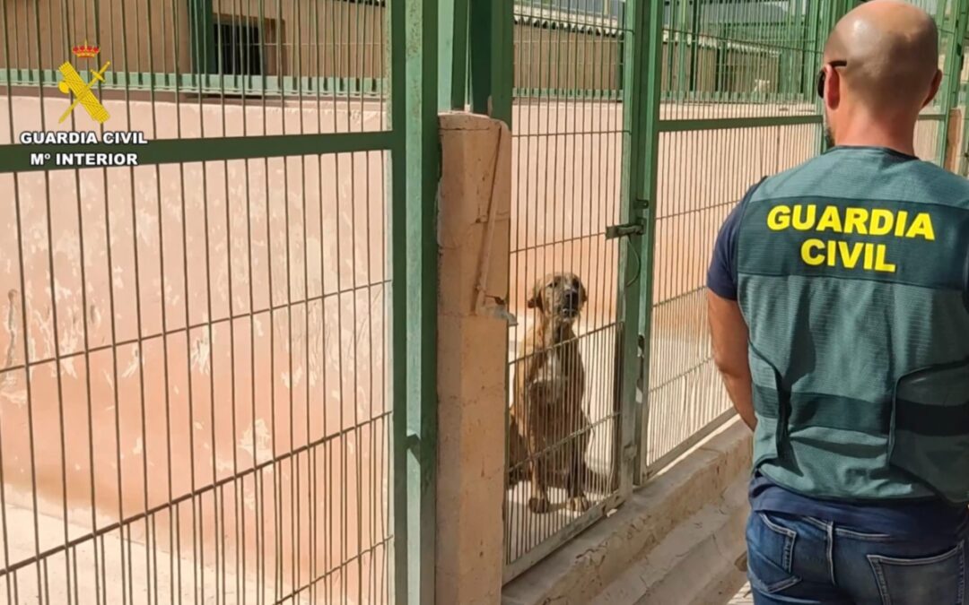 Estafa a varios dueños de perros robados y luego se burla de ellos por caer en la trampa