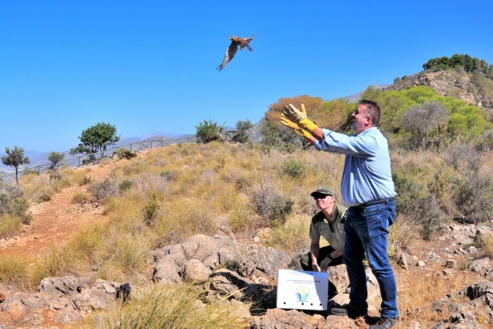 aves silvestres liberadas en Almuñécar