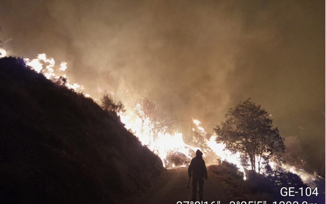 El Infoca da por controlado el incendio forestal en Güéjar Sierra