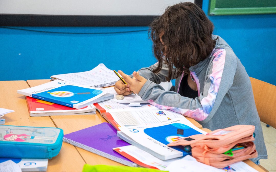 Cerca de 500.000 alumnos andaluces estrenarán libros de texto el próximo curso