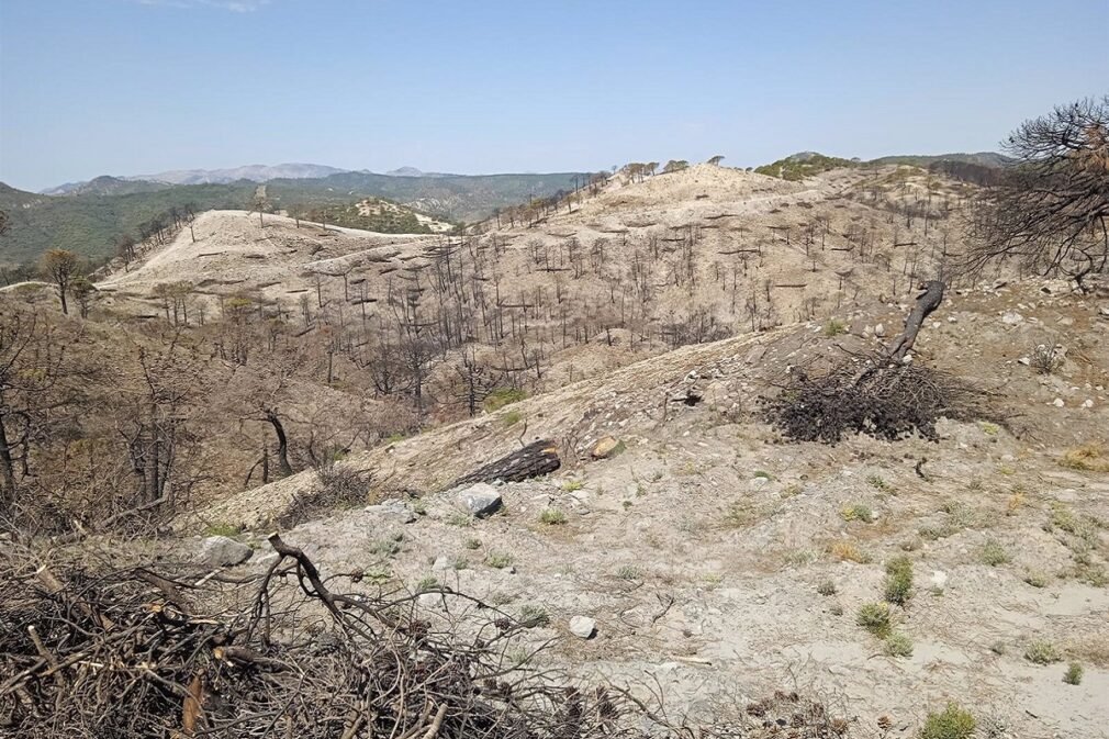 Granada.- La Plataforma por el Monte Andaluz valora la detención del investigado por el incendio de Los Guájares