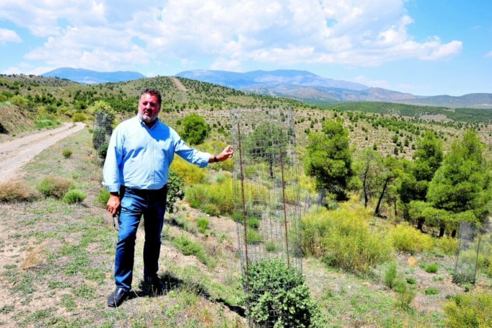 sierrade baza vegetación