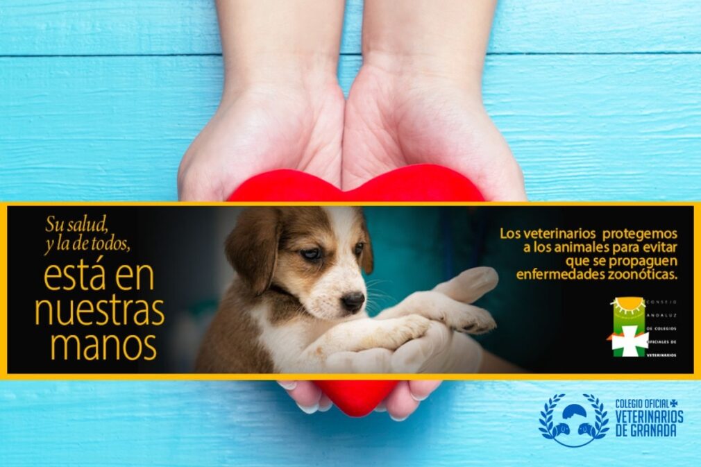 su salud, y la de todos está en nuestras manos - colegio de veterinarios