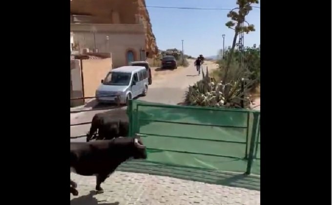 toros escapan encierro cortes y graena - foto captura