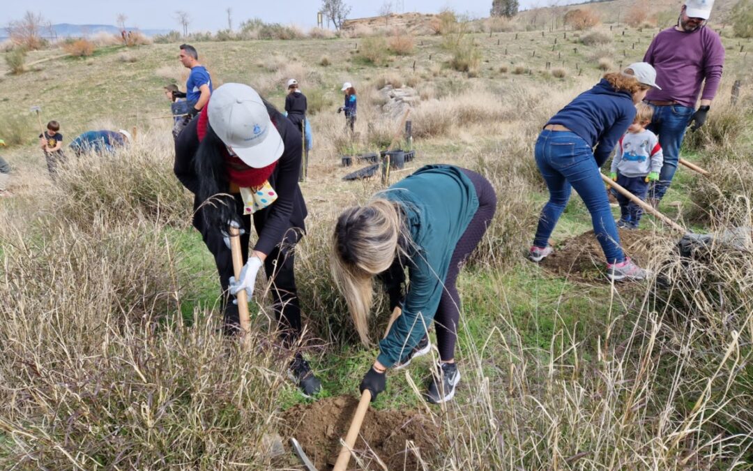 Comienza su andadura el proyecto ambiental 'Bosque Granatensis', impulsado por la cátedra de la UGR La Huella Verde