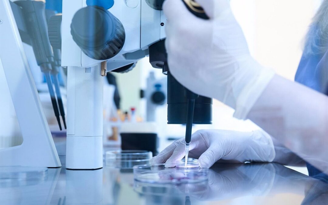 Dos investigados por el brote de listeria en Cájar, cuyo proceso sancionador sigue abierto