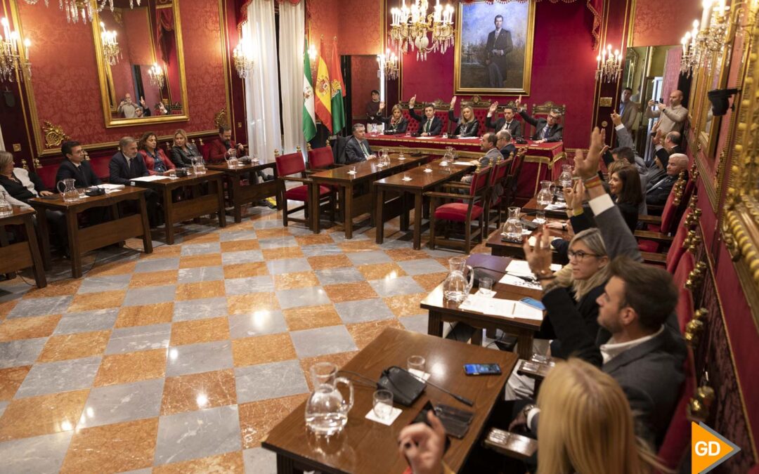 Carazo remitirá a Sánchez el pronunciamiento del Pleno rechazando la amnistía