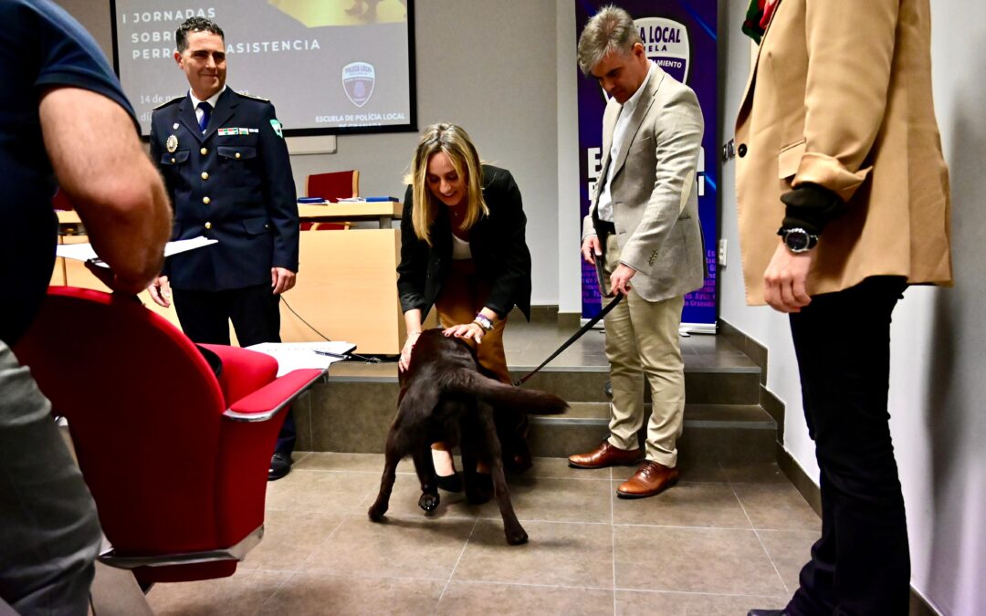 Unas jornadas abordan el papel de los perros de asistencia para diabéticos