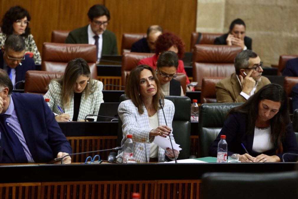 Rocío Díaz, en el centro en primer término en la imagen, en el Parlamento