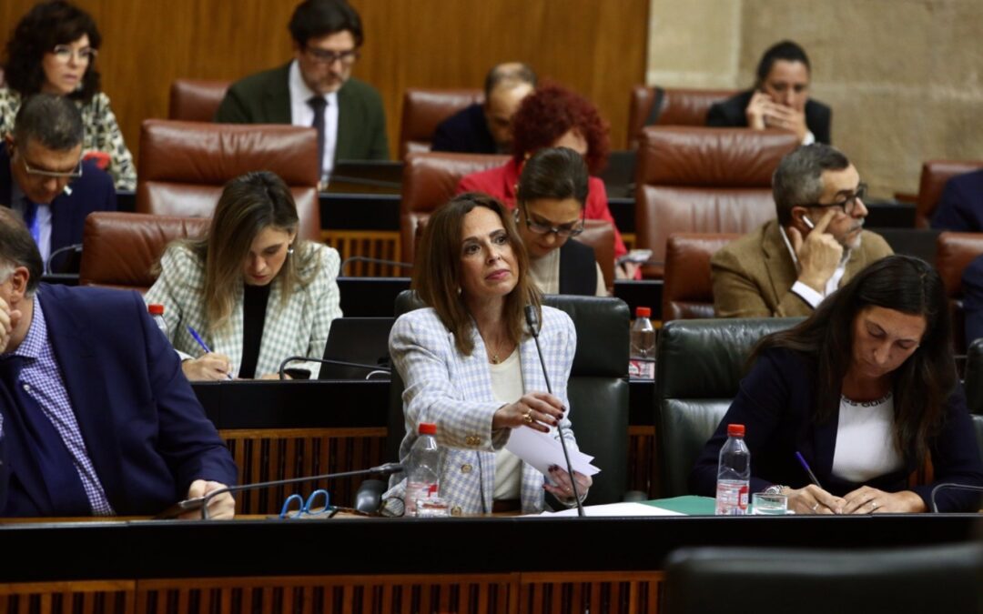 Rocío Díaz urge al Gobierno central a que se implique en el soterramiento del tren