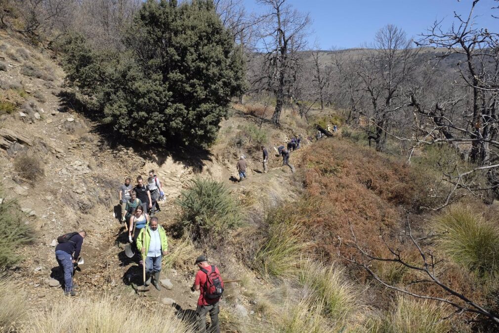 Granada.- Arqueólogos de la UGR y voluntarios ultiman la recuperación de la acequia de la Alpanchía en Galera