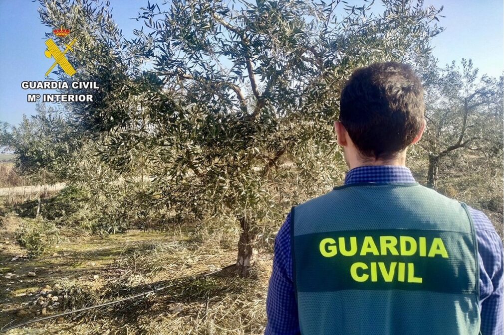 Granada.- Sucesos.- Investigado por el robo de 3.000 kilos de leña en la finca de su vecina en Santa Fe