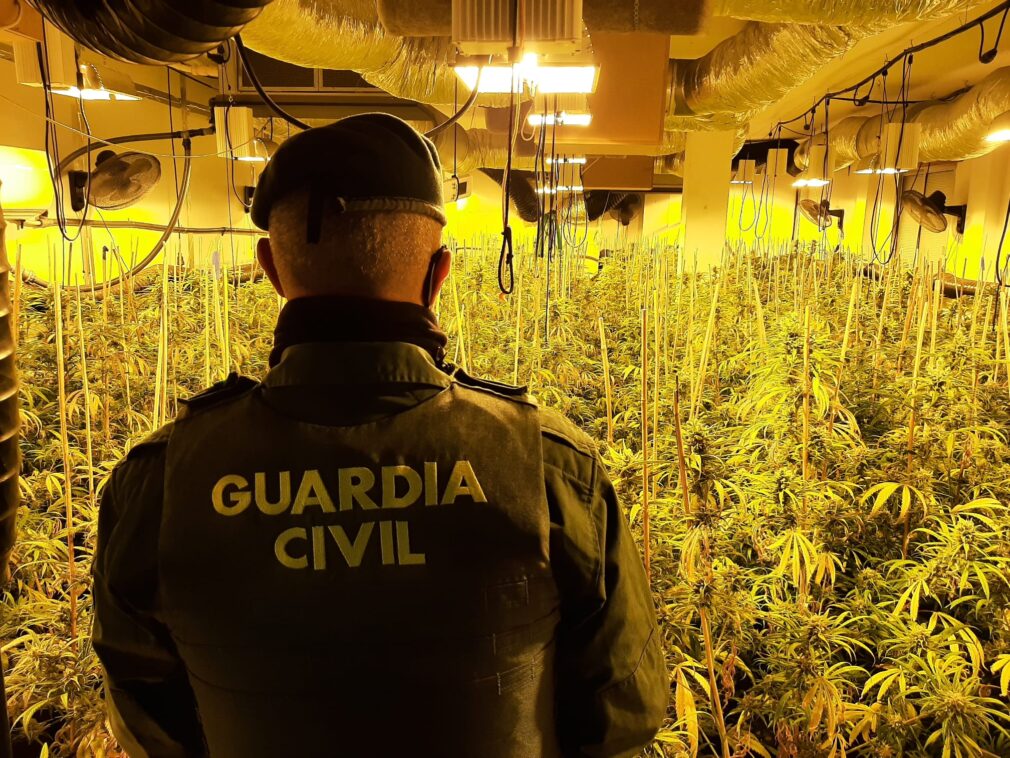 Desarticulados siete centros de producción de marihuana en Santa Fe, Chauchina, Fuente Vaqueros, Pinos Puente, Güevéjar y Cúllar Vega, pueblos del Área Metropolitana de Granada