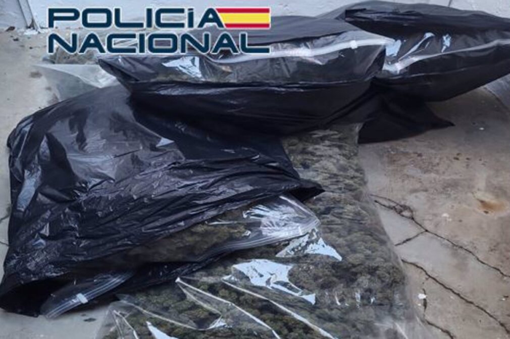 Desmantelado en la zona Norte un invernadero 'indoor' con 24,5 kilos de marihuana