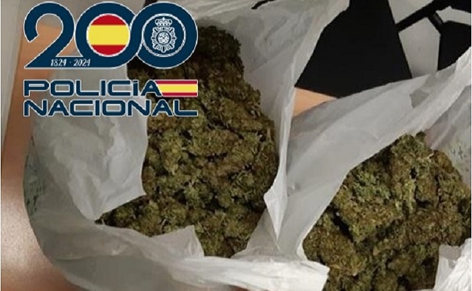 imagen de archivo marihuana