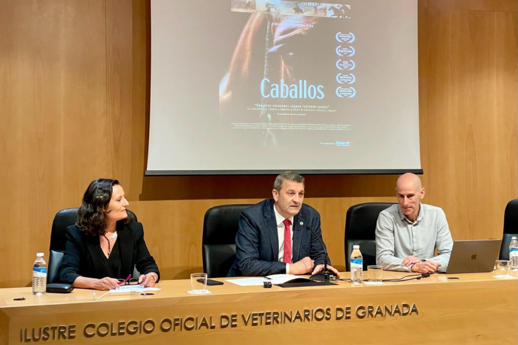 presentacion documental caballos en el colegio de veterinarios de granada