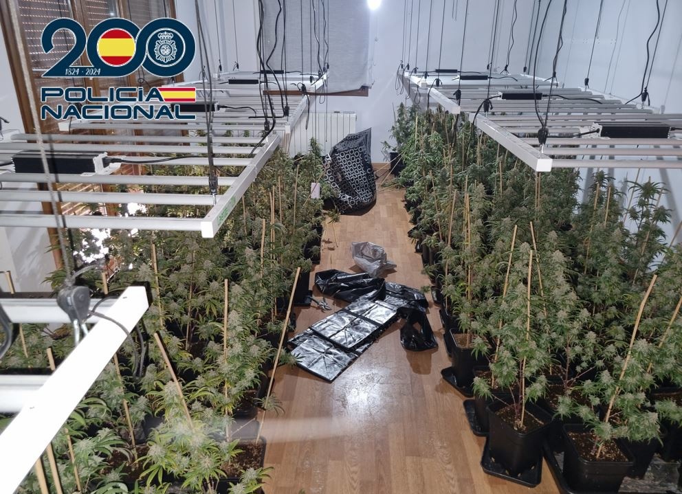 Granada.- Sucesos.- Descubren cerca de 400 plantas de marihuana en una vivienda de Granada tras un aviso de robo