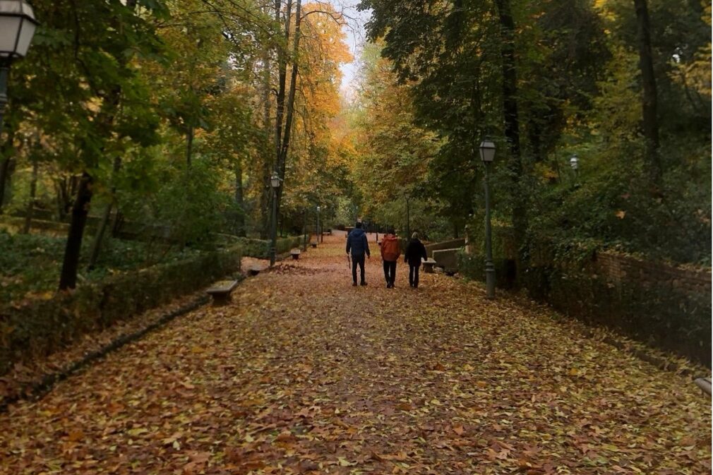 bosque alhambra