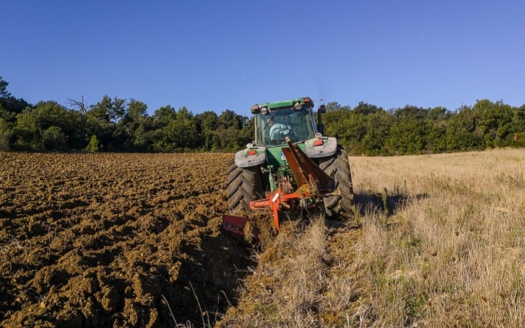Nace la marca que identifica y distingue el "sabor auténtico del campo"