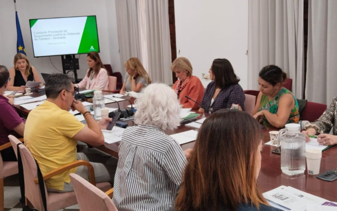 La comisión de seguimiento contra la violencia de género analiza actuaciones a reforzar en verano