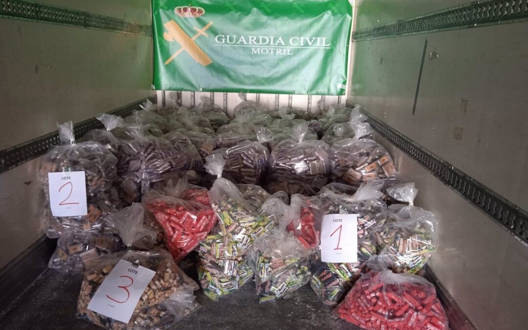 Detenido el conductor de un camión en el puerto de Motril con 3.648 kilos de hachís en un semirremolque