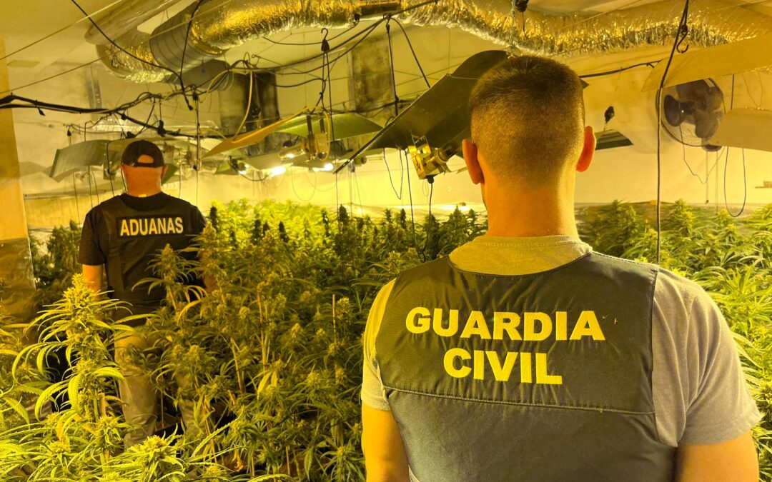 La Guardia Civil y la Agencia Tributaria desarticulan un centro de producción de marihuana en Otura