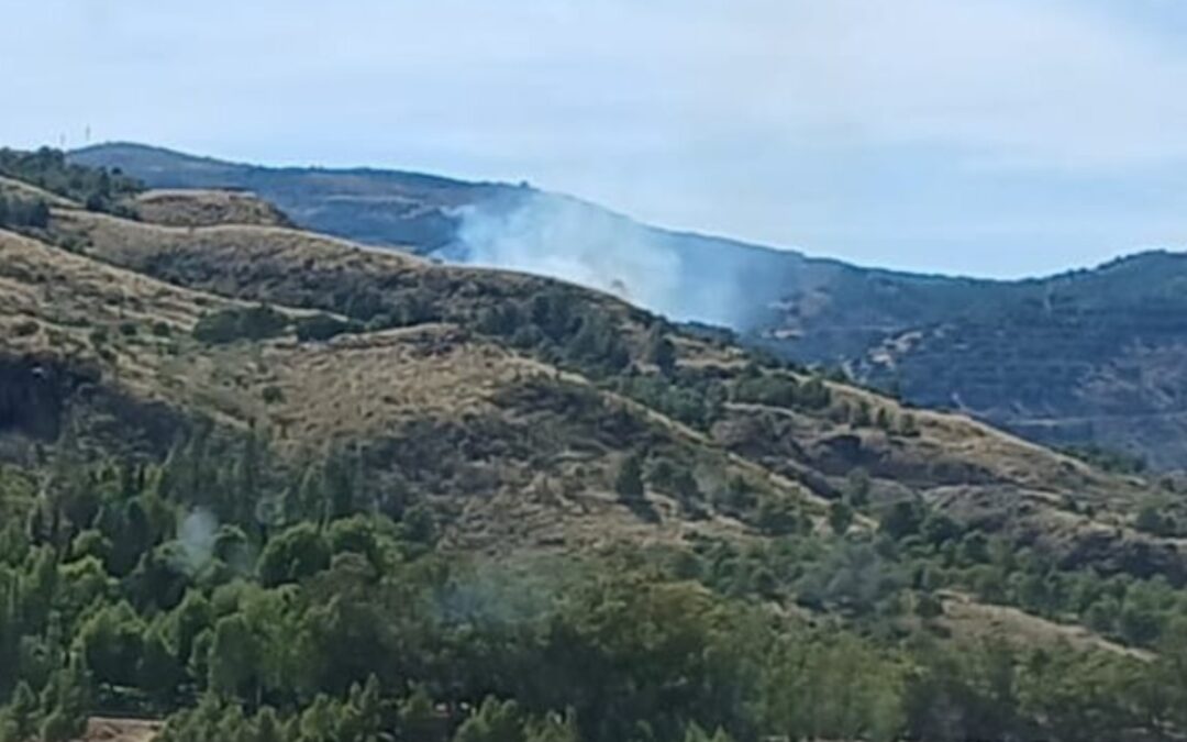 El Infoca logra estabilizar un incendio declarado en Turón