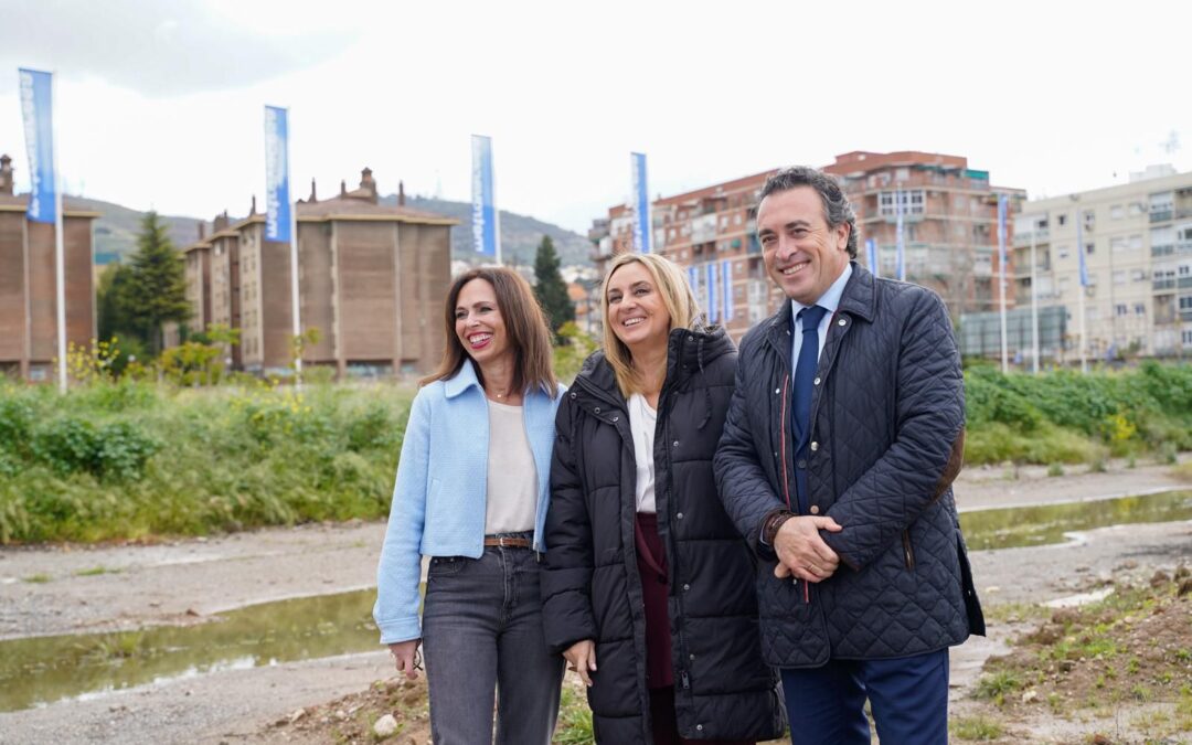 La Junta licita con Metrovacesa las obras para dotar de suministro eléctrico al solar de Mondragones