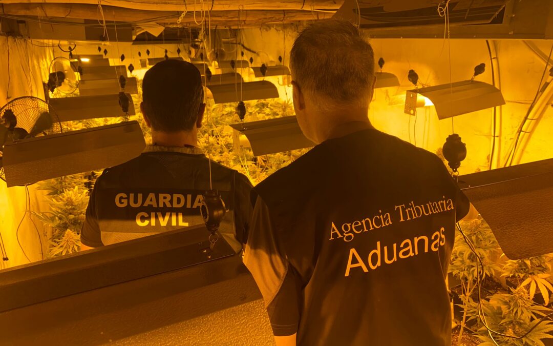 Desarticulados ocho centros de producción de marihuana en Padul
