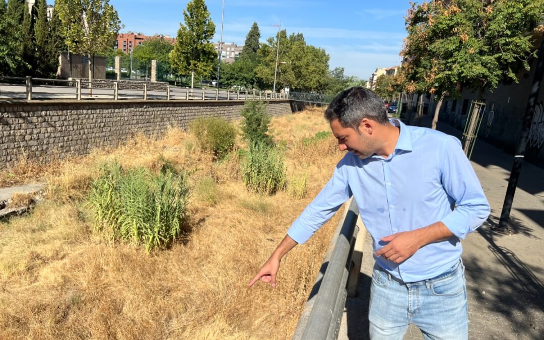 PSOE Granada denuncia "la incapacidad del gobierno de Carazo para desbrozar el rio Monachil"