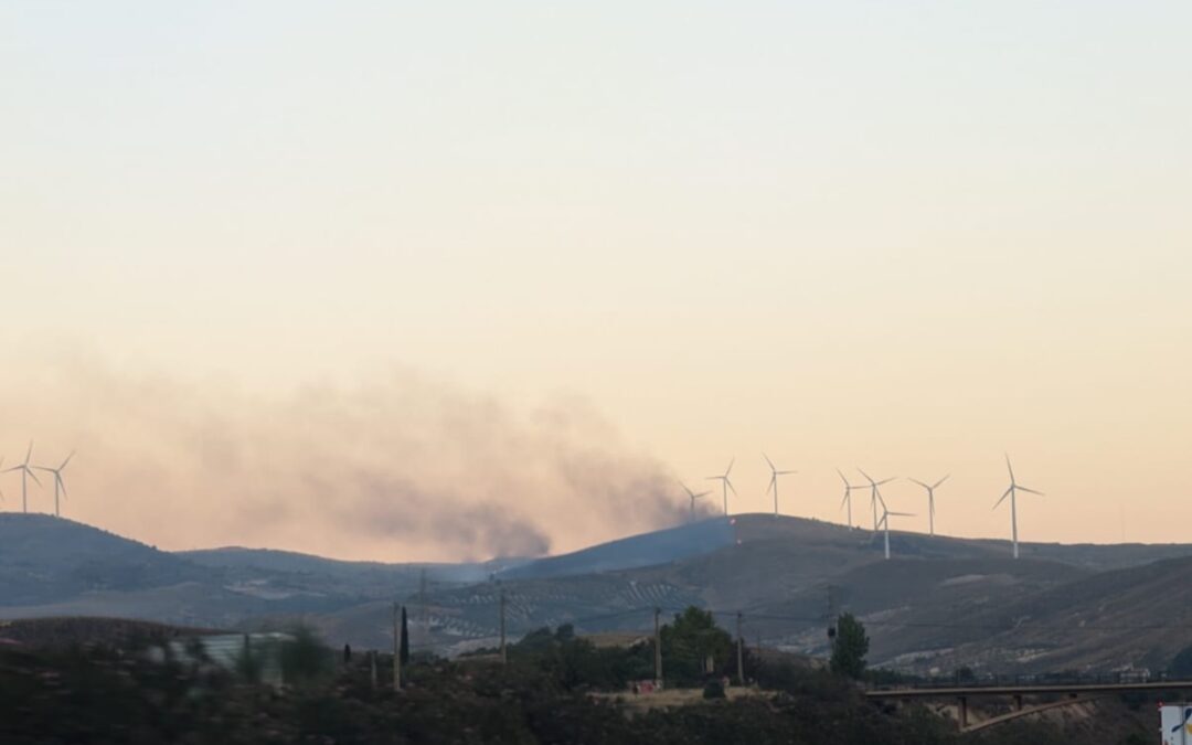 El Infoca da por controlado el incendio forestal en Padul