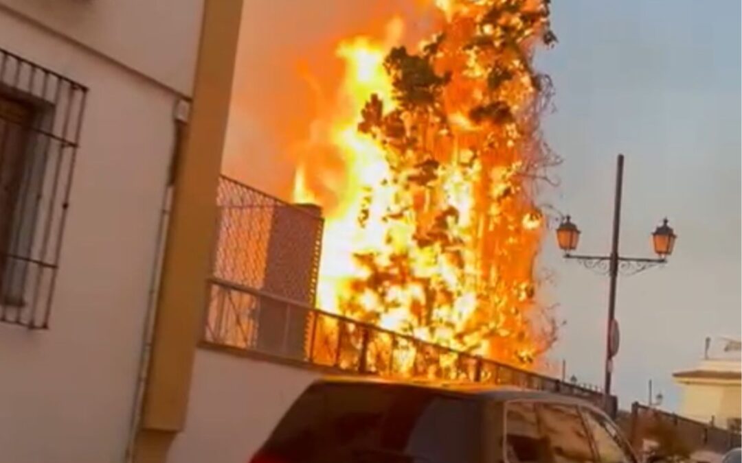 La Zubia pide ayuda para localizar a los autores de una oleada de incendios intencionados