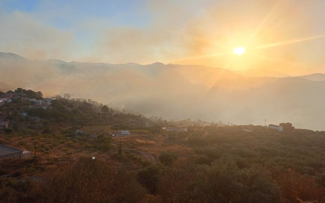 Evalúan daños en fincas de subtropicales afectadas por el fuego de Almuñécar