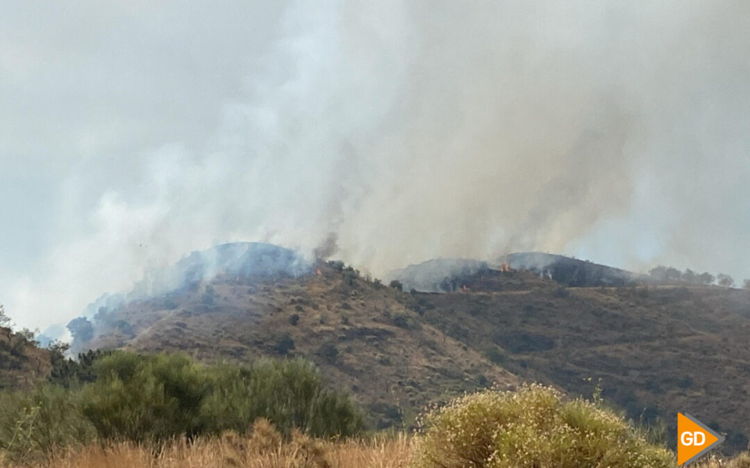 El Infoca confirma una "evolución favorable" en el incendio de Almuñécar