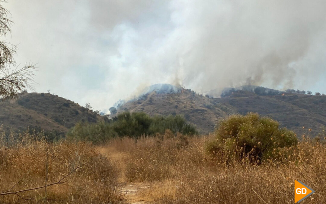 Galería | Las imágenes del incendio forestal en Almuñécar
