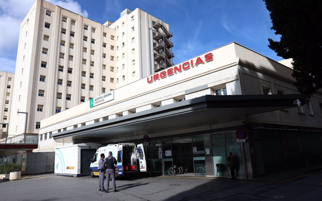 Evoluciona favorablemente la mujer que fue atacada por un ciervo criado por la familia