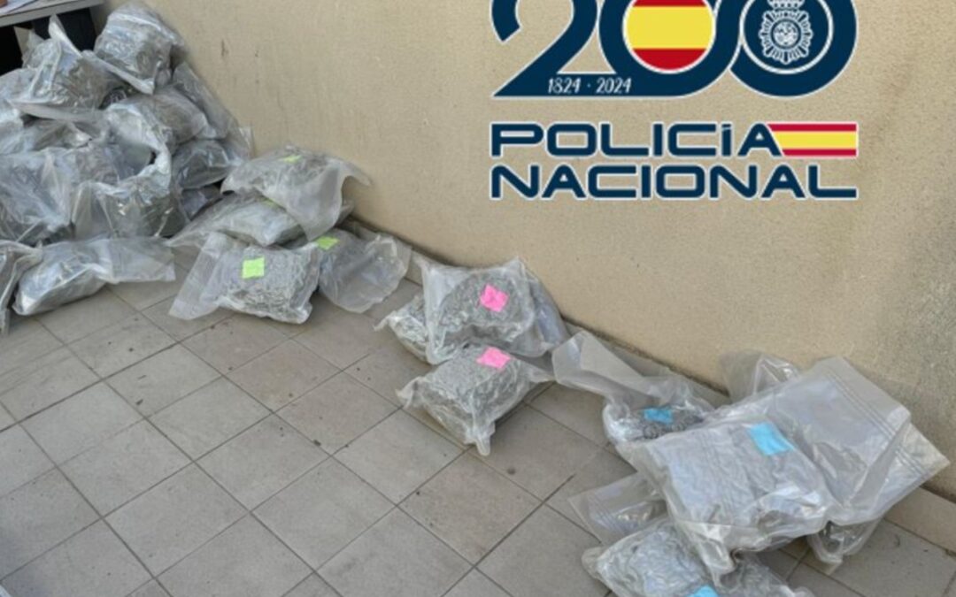 Incautadas más de 5.000 plantas de marihuana en Granada, Motril y Baza en octubre