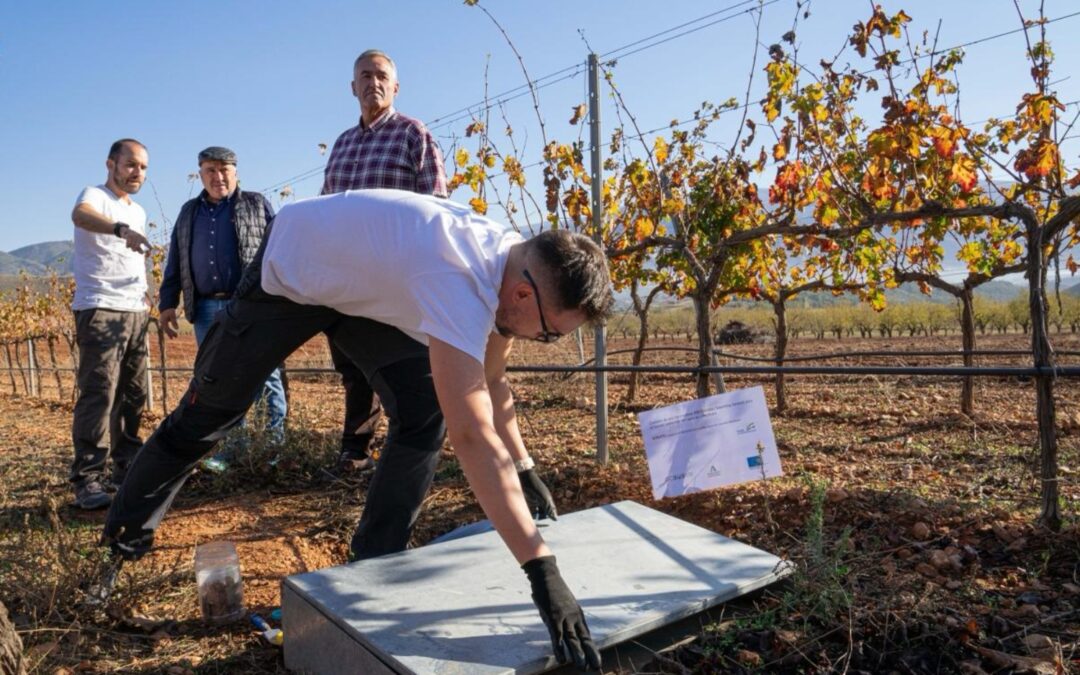 Una finca granadina acoge pruebas de una innovadora herramienta digital para gestionar los viñedos