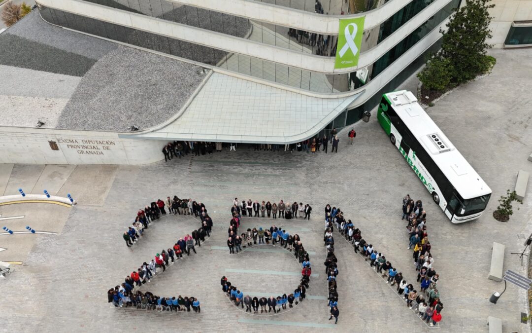 Diputación conmemora el Día contra la Violencia de Género con un gran mosaico '25N'