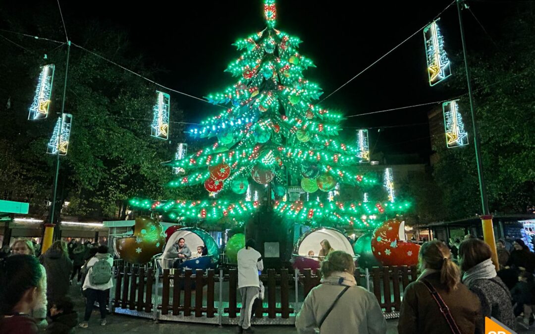 Un dispositivo especial reforzará la seguridad y limpieza de Granada durante la Navidad