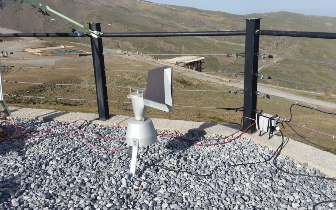 Detectan grandes masas de polen de olivo que se desplazan a Sierra Nevada
