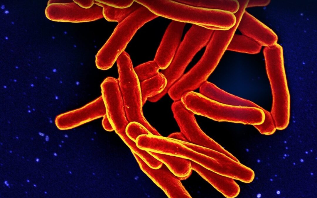 'Salud a todo Twitch' pone el foco este miércoles en la tuberculosis