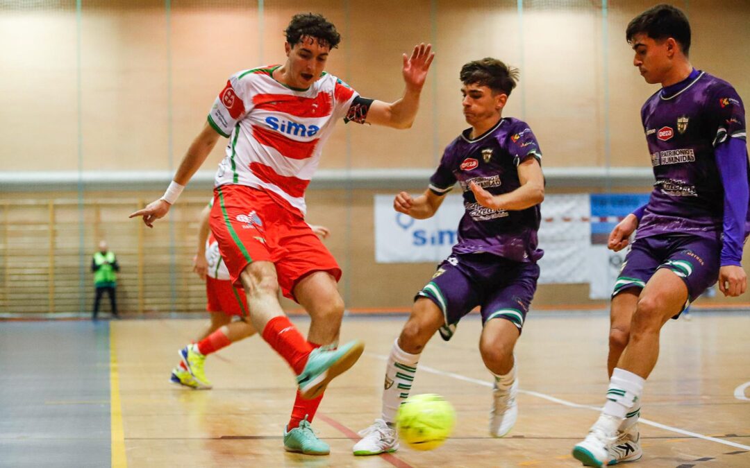 El orgullo del Sima Granada vale un empate en Córdoba (5-5)