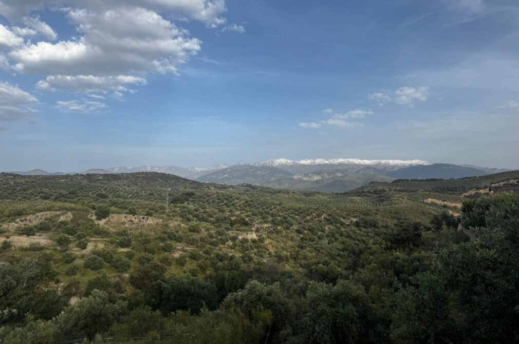 El Fargue