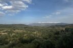 El Fargue