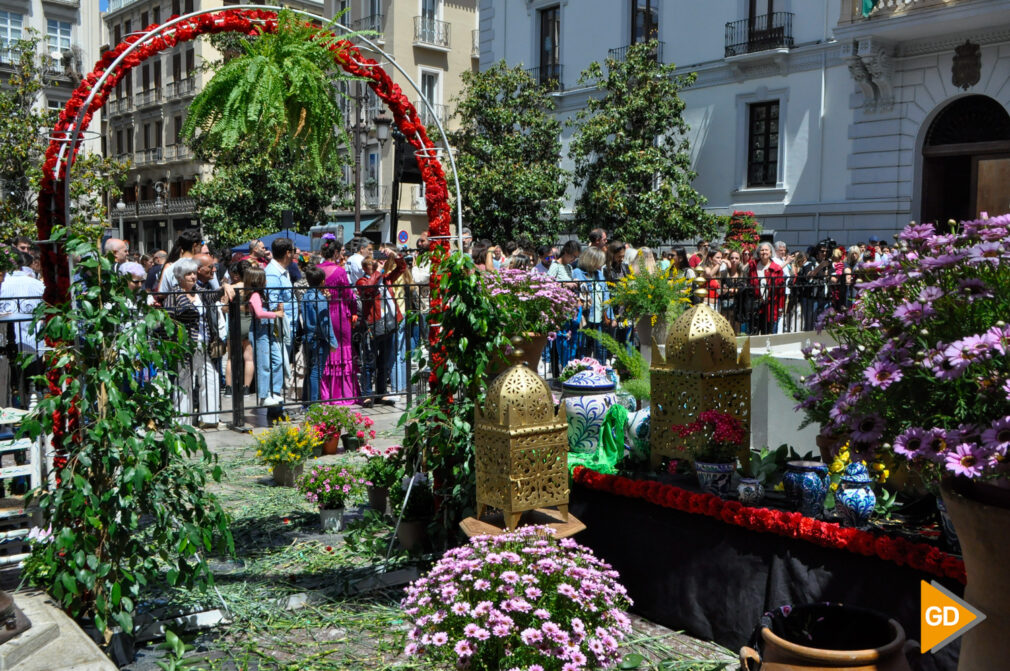 Cruces y ambiente (10)