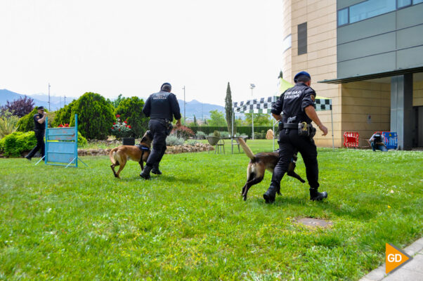 Día de la Infancia Hospitalizada en el Clínico San Cecilio